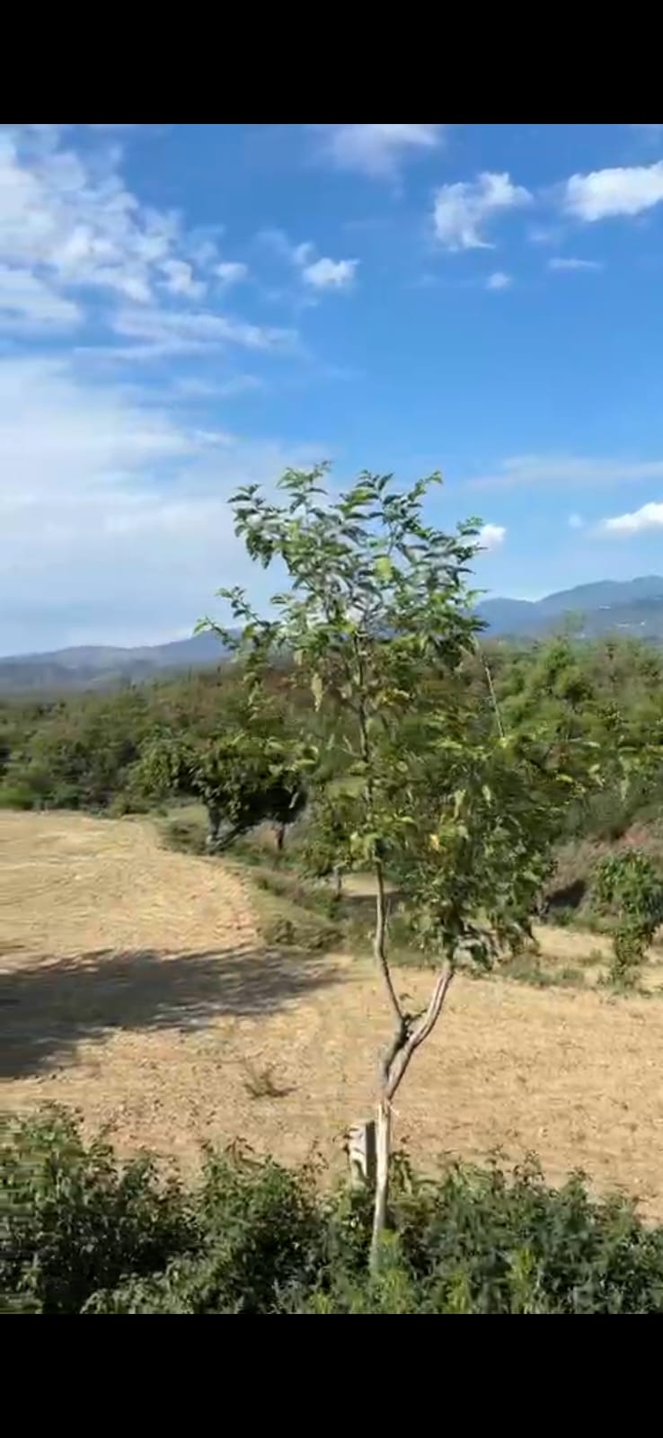 6kanal 12 Marla ,2 side open ,225 front land for sale in Pathankot to Dalhousie road