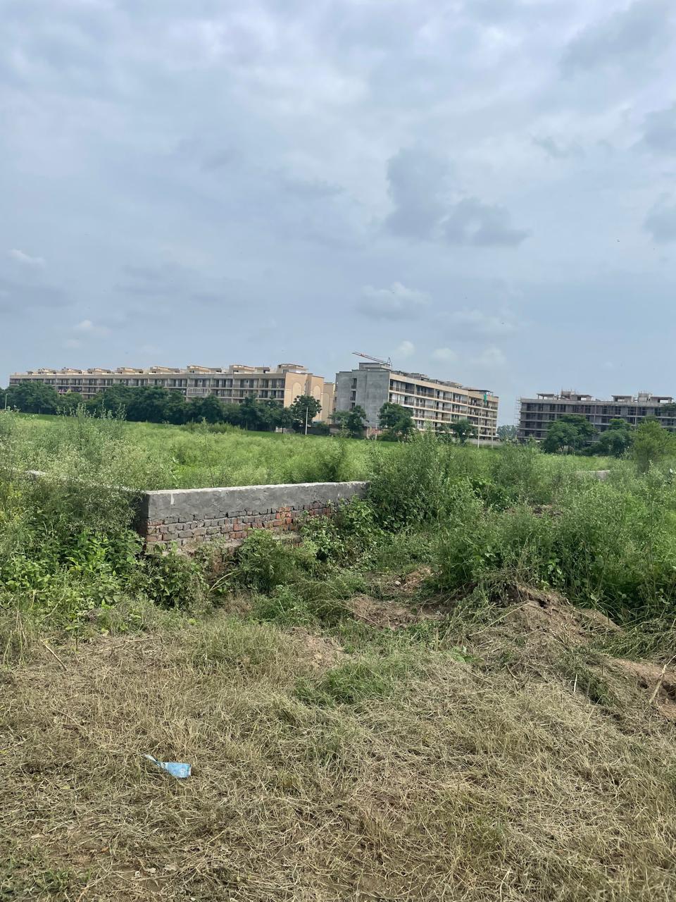 Image of 
