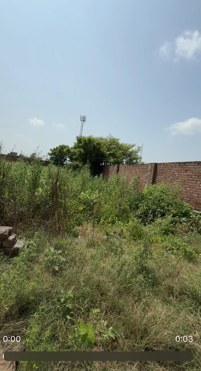 Image of 