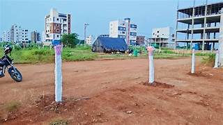 Image of 
