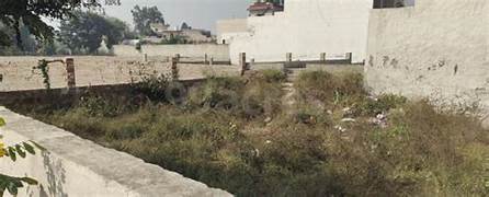 Image of 