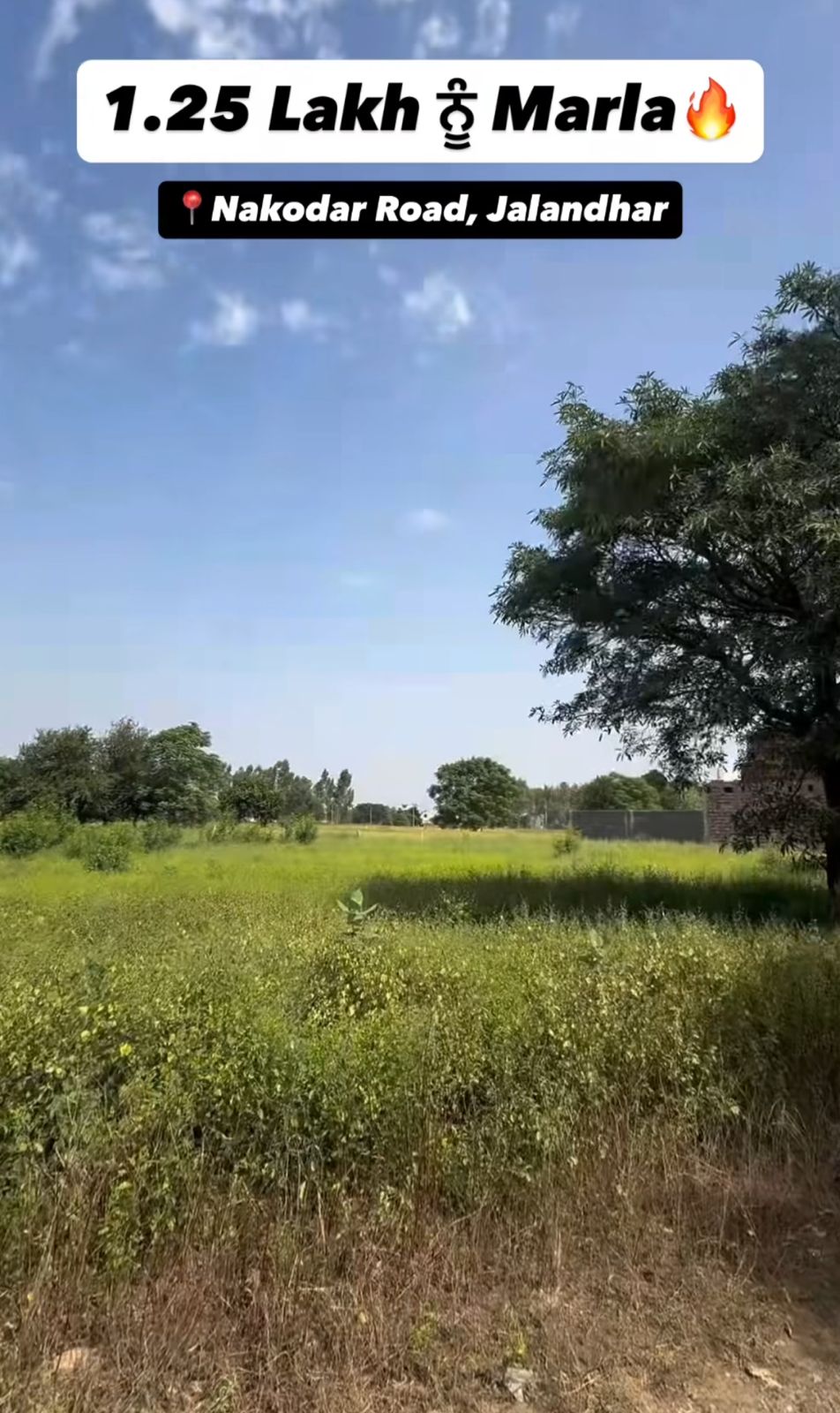 Image of 